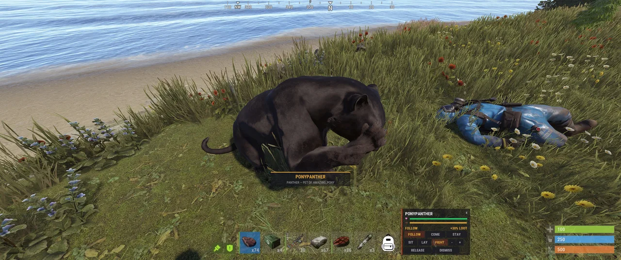 Tamed black panther beside a fallen player, with PONYPANTHER pet commands visible.