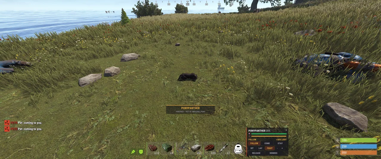 Rust screenshot: panther pet in grass with PONYPANTHER 25%, FOLLOW, and Pet: coming to you.