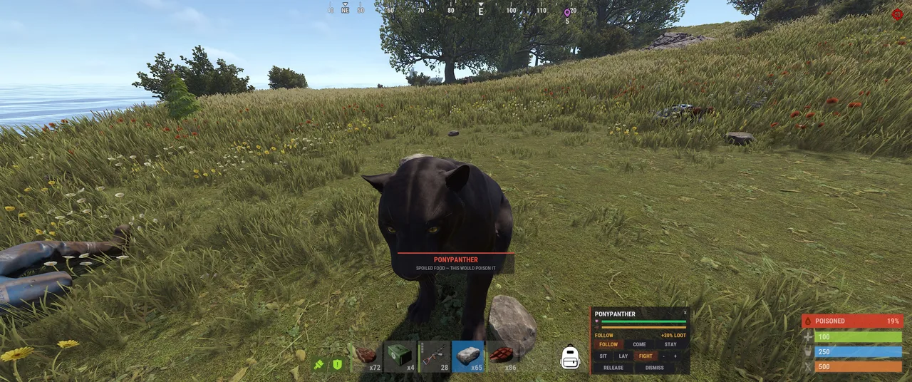 Black panther labeled PONY PANTHER in grass, with companion controls FOLLOW, COME, STAY and FIGHT.