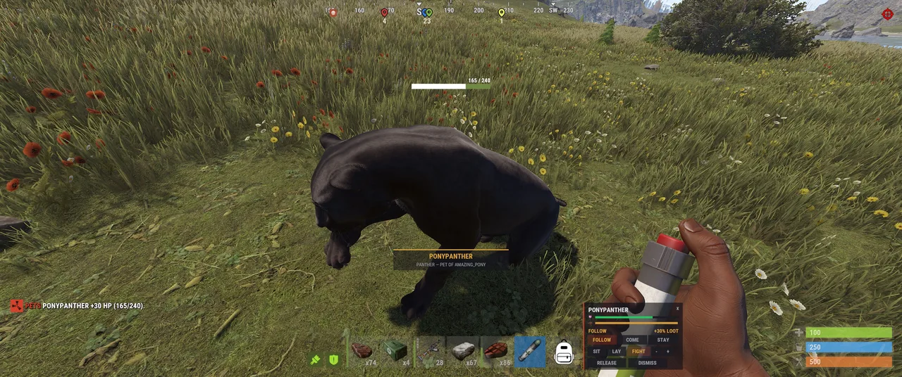 Tamed black panther named PONYPANTHER stands in grass; interface shows PONYPANTHER +30 HP (165/240).