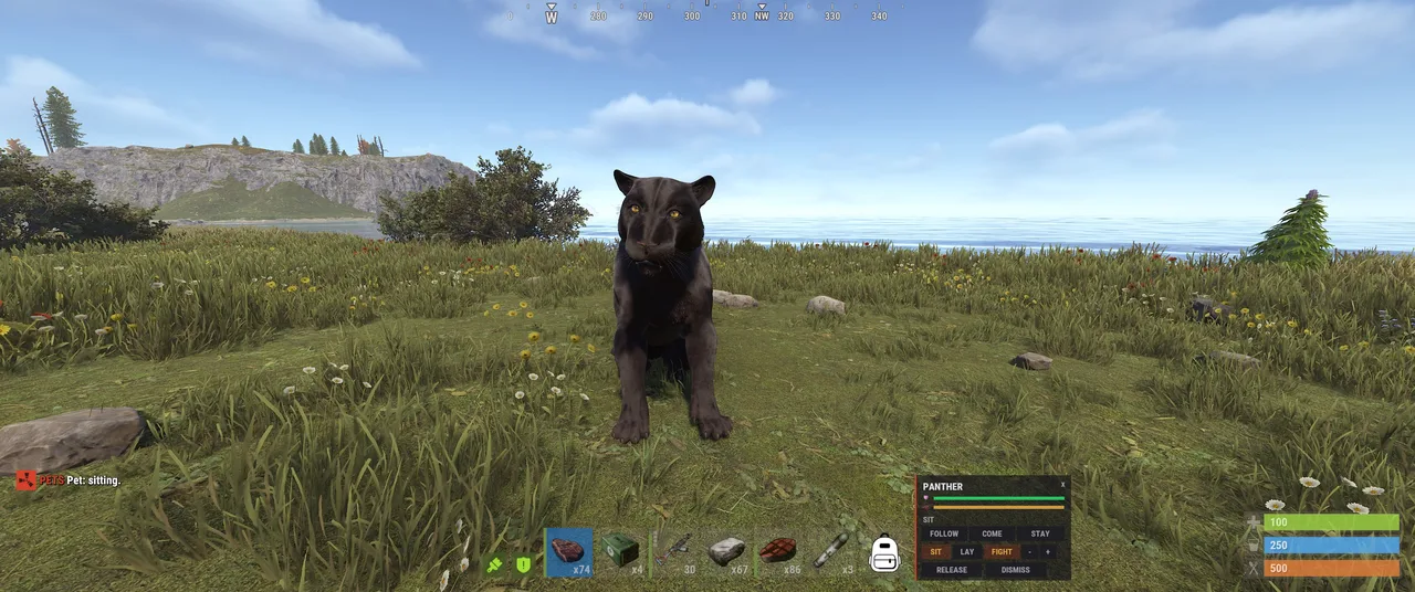 Black panther in grassy field; UI reads Pet sitting, PANTHER, SIT, FOLLOW, COME, STAY.