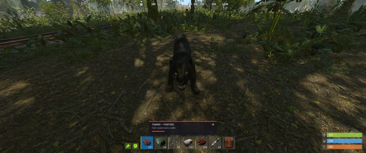 Black panther in forest with HUD showing TAMING – PANTHER and Feed: cooked meat or better