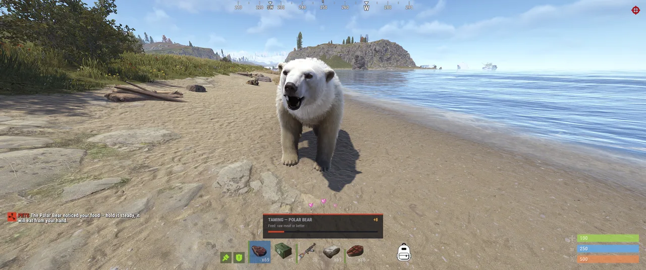 Polar bear on beach, HUD reads TAMING — POLAR BEAR, Feed raw meat or berries