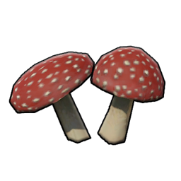 Mushroom Cluster