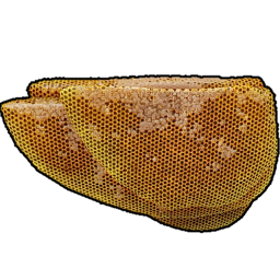 Natural Beehive