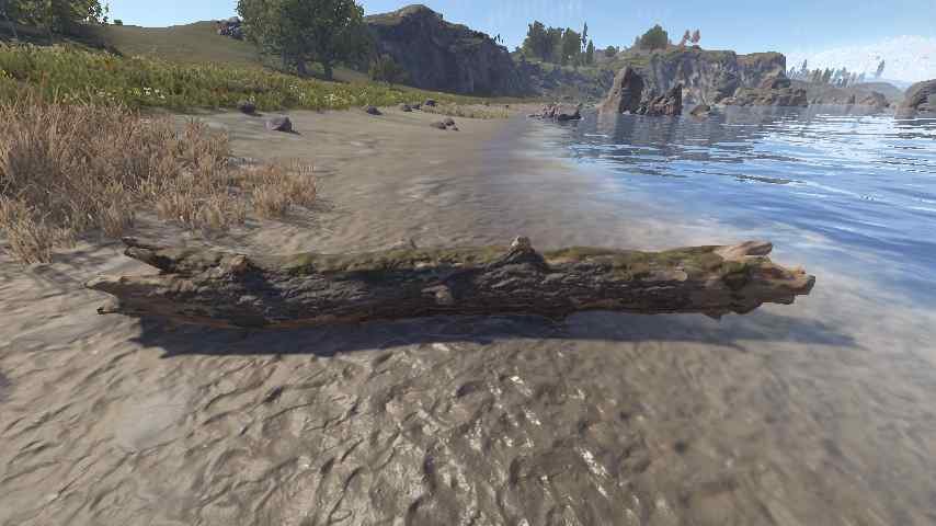 Dead Log
