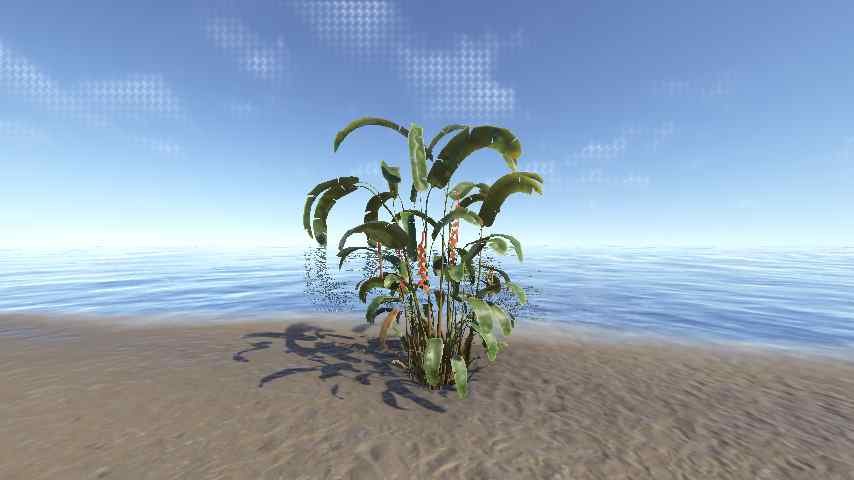 Heliconia Rostrata