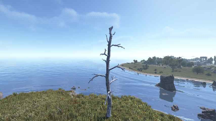 Pine