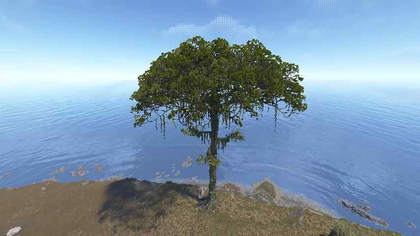 Vine Swinging Tree