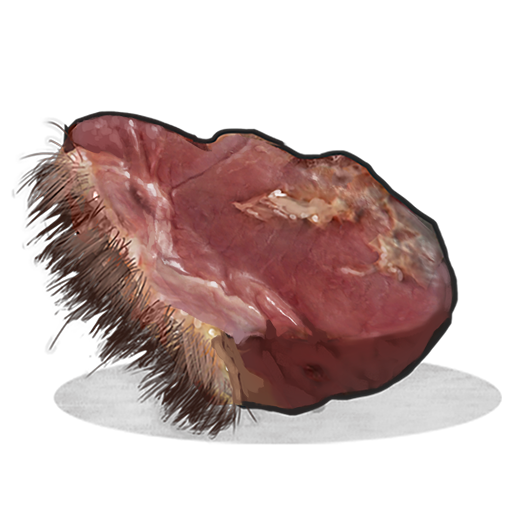 Raw Bear Meat