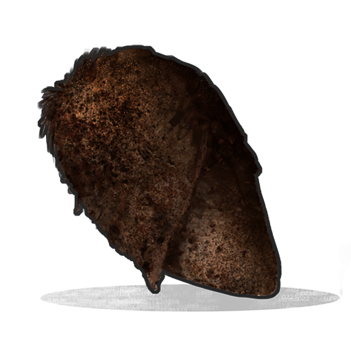 Burnt Chicken