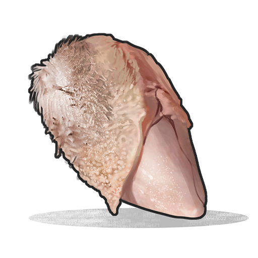 Raw Chicken Breast