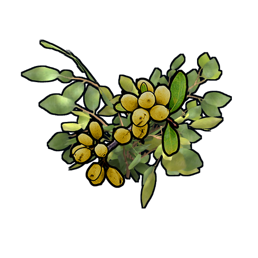 Yellow Berry Clone