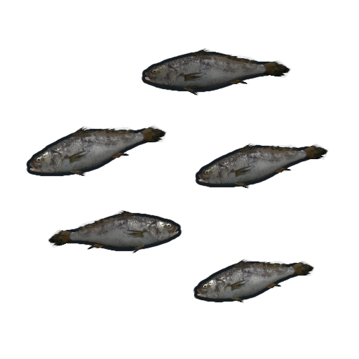 Minnows