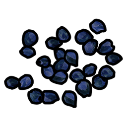 Blue Berry Seed