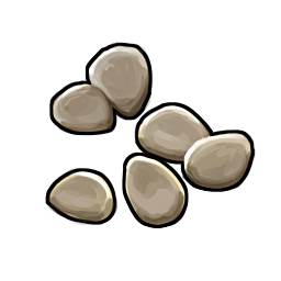 Potato Seed