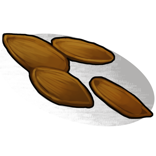 Pumpkin Seed