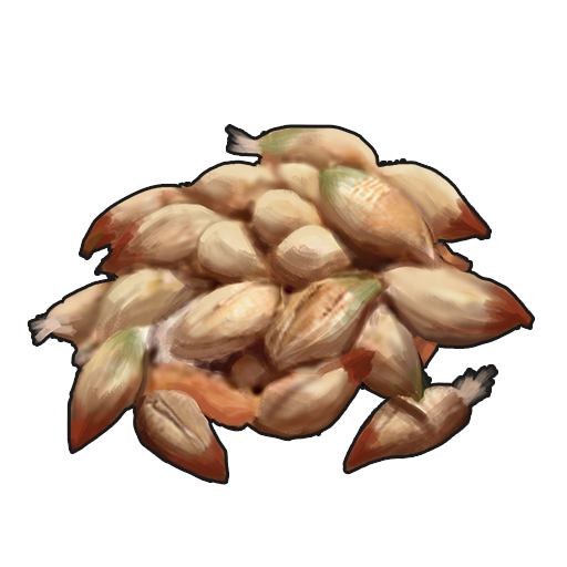 Rose Seed