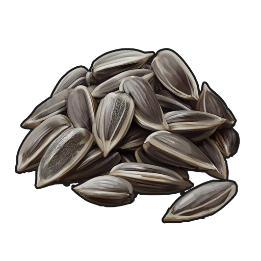 Sunflower Seed