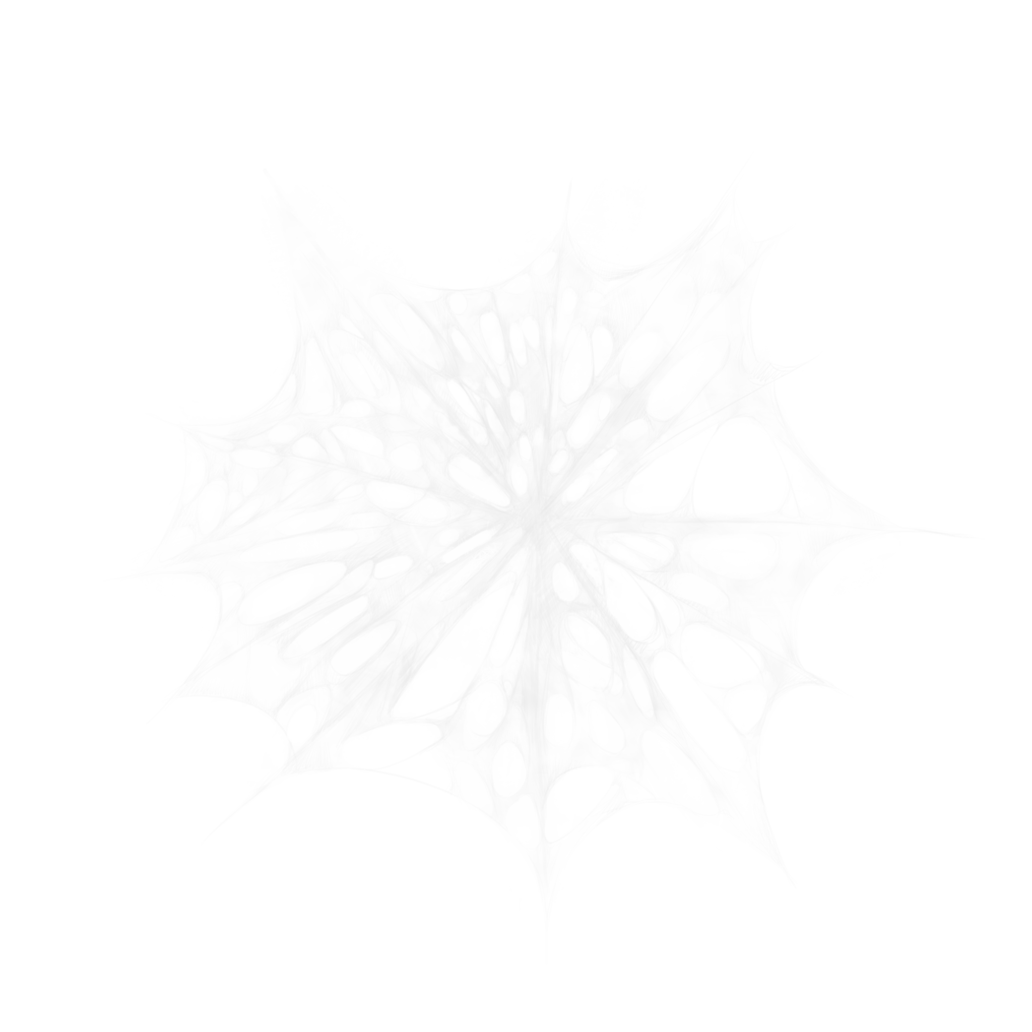 Spider Webs