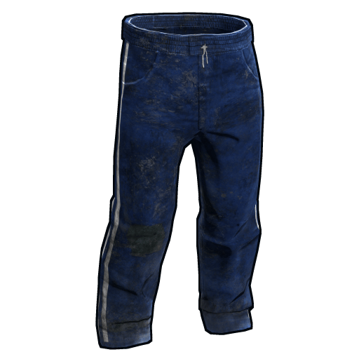 Blue Track Pants