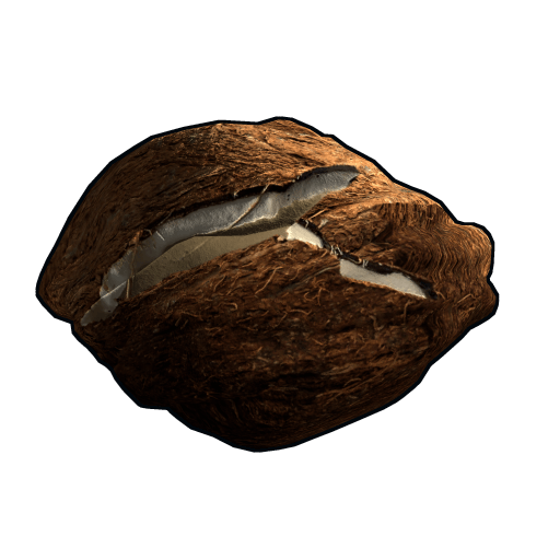Coconut Rock