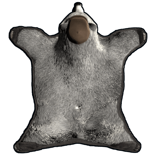 Riqqeloff Bearskin Rug