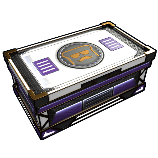 disguisedtoast Large Box