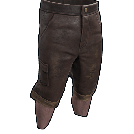 Homemade Shorts