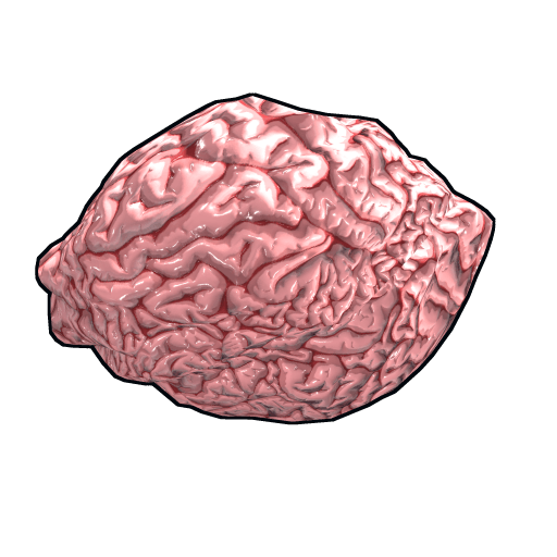 Fresh Brain