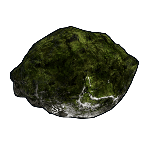 Mossy Fossil