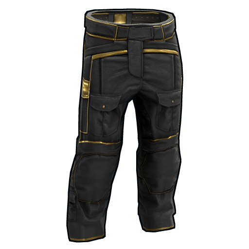 Black Gold Pants