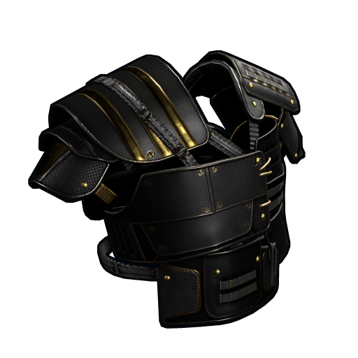 Black Gold Vest