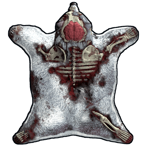 Zombie Bearskin Rug