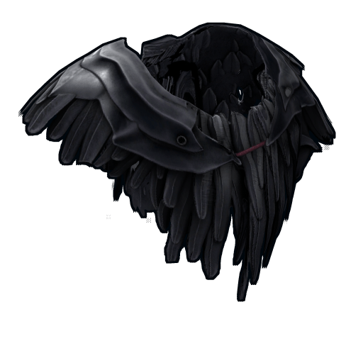 Raven Poncho