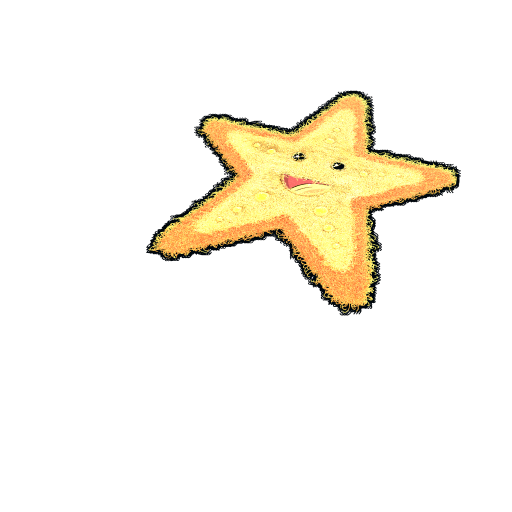 Starfish Rug