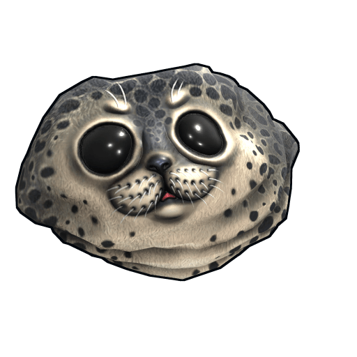 Harbor Seal Rock