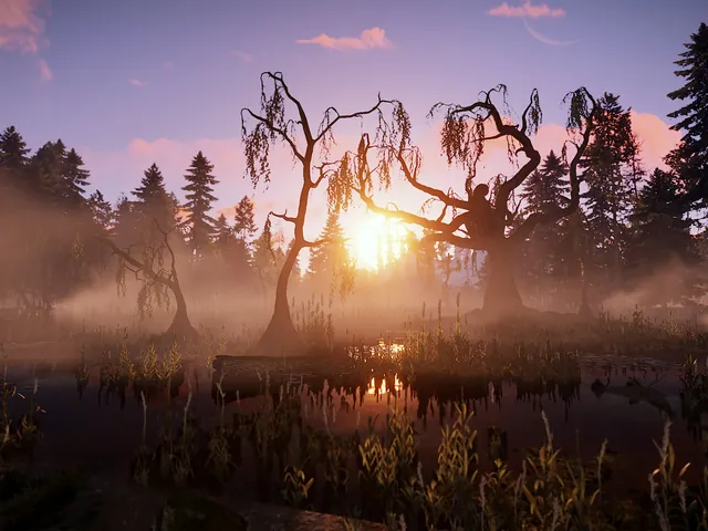 Wild Swamp 2