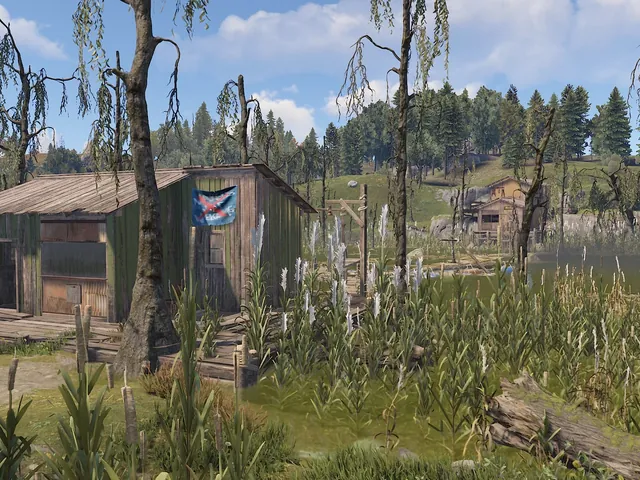 Abandoned Cabins
